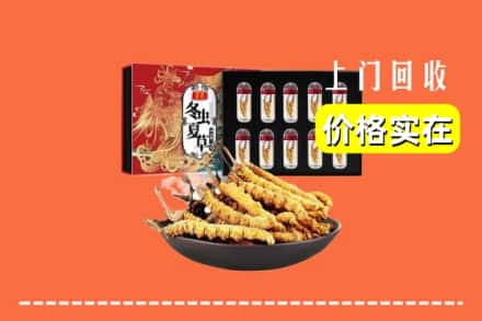 郴州资兴市回收冬虫夏草